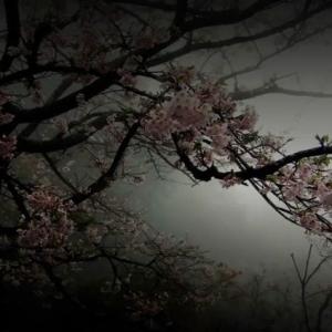 Крепкий Орешек